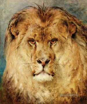 Ein Löwenkopf Heywood Hardy Ölgemälde